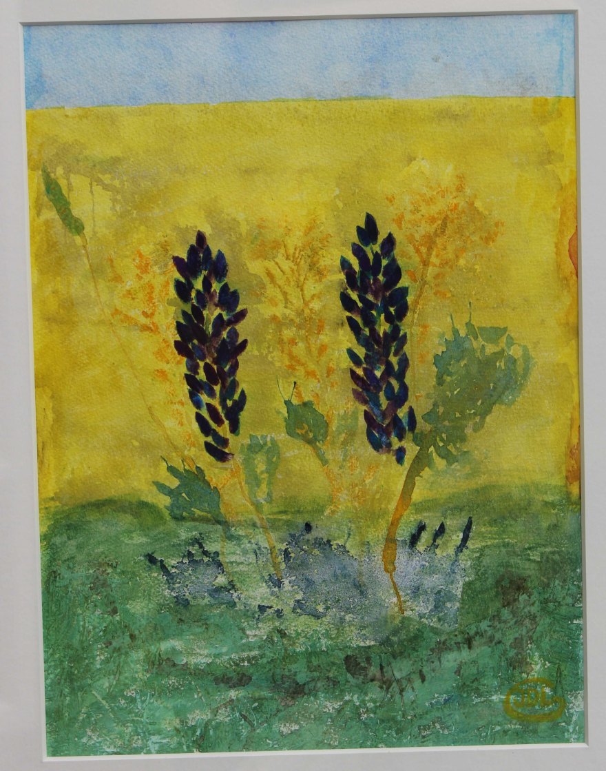 JDL_Summer_IMG_0387_B